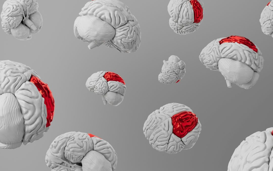 Conocer el neurodesarrollo para mejorar la enseñanza y la crianza